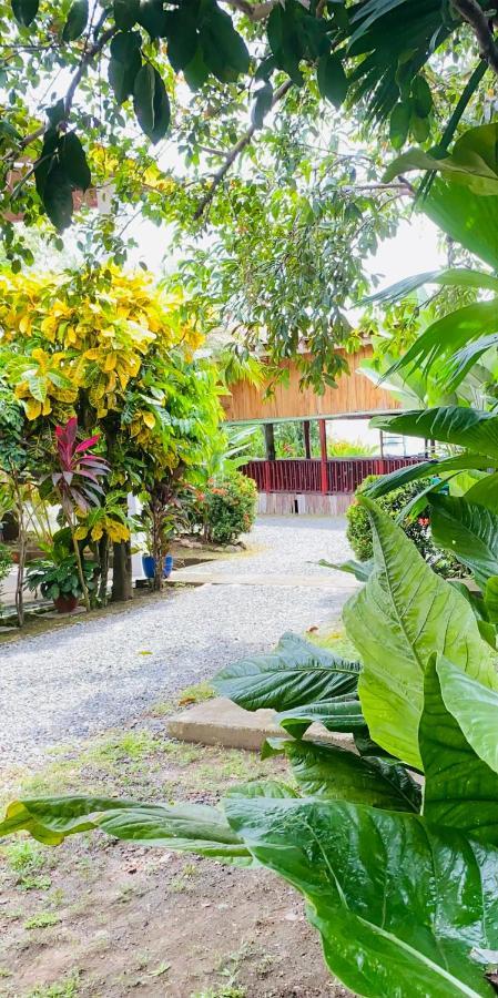 Hospedaje Quepos Exteriör bild